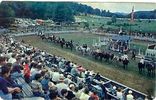 brhorseshow1959.jpg
