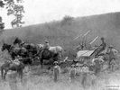 broadfordharvest1914.jpg