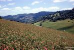Filename=churchridge.jpg
Filesize=121KiB
Dimensions=800x537
Date added=Jun 26, 2007 churchridge.jpg