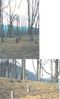 Filename=daviscem.jpg
Filesize=30KiB
Dimensions=292x480
Date added=Jan 26, 2006 daviscem.jpg