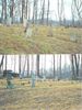Filename=daviscem2.jpg
Filesize=49KiB
Dimensions=361x480
Date added=Jan 26, 2006 daviscem2.jpg