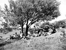 Filename=doughtonparkpicnic.jpg
Filesize=49KiB
Dimensions=516x393
Date added=Oct 07, 2006 doughtonparkpicnic.jpg