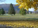 Filename=golfmaple.jpg
Filesize=162KiB
Dimensions=800x600
Date added=Nov 17, 2007 golfmaple.jpg