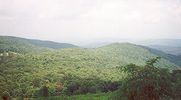 Filename=graysonhigh.jpg
Filesize=37KiB
Dimensions=500x275
Date added=Jan 18, 2006 graysonhigh.jpg