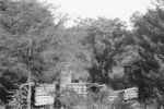 Filename=hashcabin.jpg
Filesize=98KiB
Dimensions=550x366
Date added=Nov 10, 2007 hashcabin.jpg