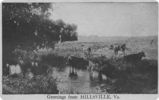 Filename=hillsvillegreet.jpg
Filesize=284KiB
Dimensions=1109x696
Date added=Jan 25, 2007 hillsvillegreet.jpg