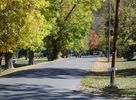 Filename=madisonstreet.jpg
Filesize=167KiB
Dimensions=800x588
Date added=Nov 04, 2007 madisonstreet.jpg