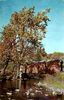 newportcoveredbridge.jpg