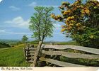 Filename=parkway2.jpg
Filesize=72KiB
Dimensions=490x350
Date added=Feb 12, 2007 parkway2.jpg