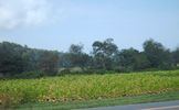 pics 019.jpg