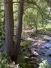 pics 031~0.jpg