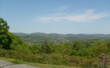 pics 082~0.jpg