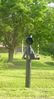 Filename=pics 397.jpg
Filesize=248KiB
Dimensions=500x913
Date added=Aug 28, 2007 pics 397.jpg