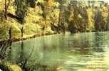 reedcreek.jpg
