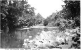 Filename=roanokeriver.jpg
Filesize=19KiB
Dimensions=300x182
Date added=Feb 17, 2006 roanokeriver.jpg