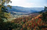 Filename=tannersville101963.jpg
Filesize=95KiB
Dimensions=800x505
Date added=Oct 14, 2006 tannersville101963.jpg