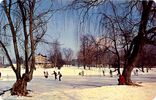 Filename=techiceskate.jpg
Filesize=210KiB
Dimensions=906x578
Date added=Jun 18, 2007 techiceskate.jpg