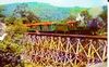 Filename=tweetsietrestle.jpg
Filesize=190KiB
Dimensions=900x558
Date added=Apr 16, 2008 tweetsietrestle.jpg