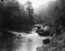whitetopcreek.jpg