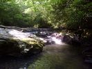 whitetoplaurelcreekfalls.jpg