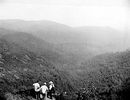 Filename=wildcatrock.jpg
Filesize=22KiB
Dimensions=516x396
Date added=Oct 07, 2006 wildcatrock.jpg