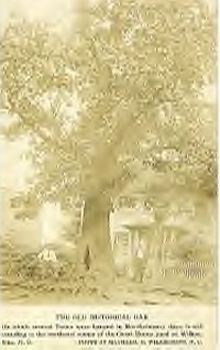 toryoak.jpg
This post card from the early 20th century shows the famous or infamous Tory Oak in Wilkesboro.  This is where Colonel Benjamin Cleveland hung many who disagreed with his political views.
