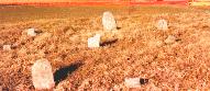 The William Weaver, Sr. Family Cemetery, looking west.
