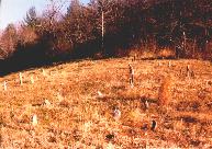 The William Weaver, Sr. Family Cemetery, looking east (close in shot).
