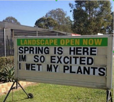 spring.JPG
