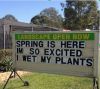 spring.JPG
