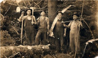 Loggers from Whitetop VA
This is a picture my mom had of her father, Roe A Shepherd from Whitetop VA. He is the second man from the left. Does anyone know any of the others? 
