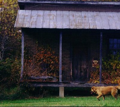 earlsextonstore.jpg
Photo courtesy of Heather Sexton
