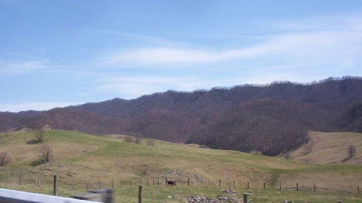 100_1418.jpg
Photo by Jeff Weaver, April 2, 2006.
