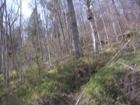 100_1435.jpg
Roadside view, April 2, 2006 by Jeff Weaver
