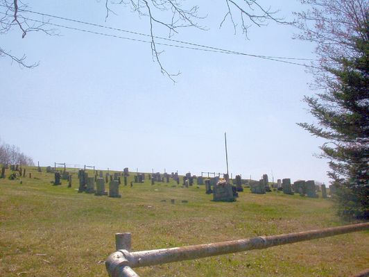 100_1546.jpg
Photo April 14, 2006 by Jeff Weaver.
