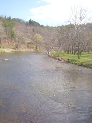 100_1577.jpg
This view of the North Fork of New River was taken looking north from the Weaver's Ford Bridge.  Photo by Jeff Weaver, April 16, 2006.
