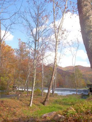 100_1808.jpg
Photo by Jeff Weaver, October 22, 2006.
