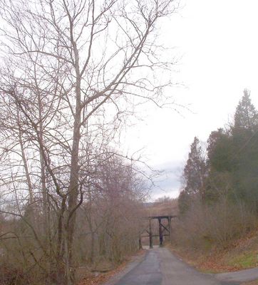 Clinchburg - Trestle
This is the trestle at Tin Bridge Hollow.  Photo by Jeff Weaver, January 12, 2007.
