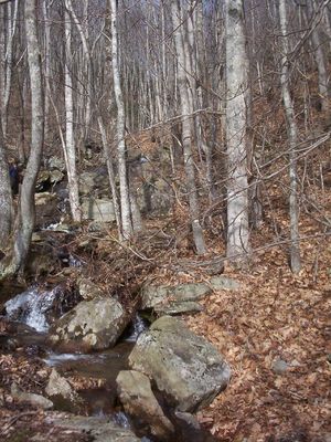 Wolf Knob - Falls of Fees Branch
Photo January 24, 2007 by Jeff Weaver
