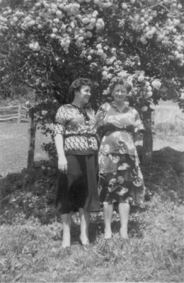 148lantaersadell.jpg
They were daughters of James Estil Sturgill and Ella Ingram.  Lanta lived on Helton Creek, Ersa Dell Gamble lived in Chester County, PA.  This photo was taken at their father's home on Wolf Knob, Grayson County, Virginia on July 4, 1952.
