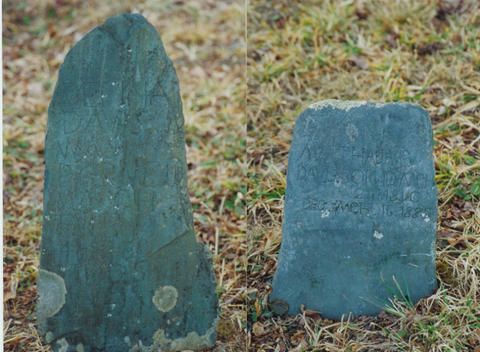 4879.jpg
MArkers for Martha Jane and Defina Davis in the Jont Mountain Davis Cemetery, Ashe County, NC.  Courtesy of jcamel 232002
