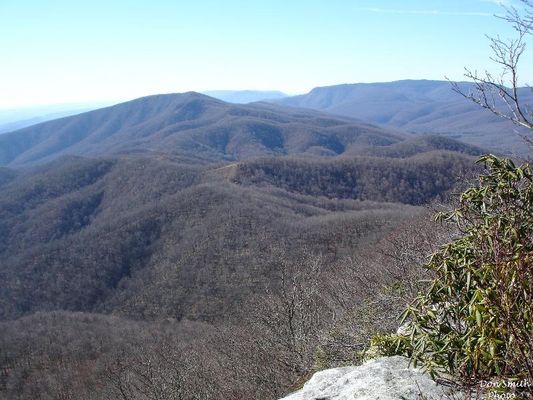 FLATTOP009.jpg
LOOKING WEST FROM THE WHITE ROCKS ON FLAT TOP MT. NEAR SALTVILLE, VA. / NOVEMBER 26, 2006.  Courtesy of Don Smith [email]dsmith1043@comcast.net[/email]
 
