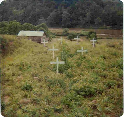 Francis_Sturgill_Cemetery1.jpg
General view of the Old Stugill Cemetery at King's Creek, courtesy of Harold Hash.

