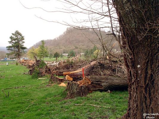 Saltville - Golf Course
MOST OF THE ROW OF SILVER POPLARS THAT STOOD BESIDE NO. 3 FAIRWAY AND PALMER AVENUE HAD DIED AND HAD TO BE CUT. THESE TREES WERE ABOUT 65 YEARS OLD. THEY WERE CUT  MARCH  29, 2007.
 
THEY CAN BE SEEN IN THE BACKGROUND OF THE PICTURE OF ONE OF THE LAST WELL HOUSES TAKEN IN 1967 WHICH IS ON THIS SITE.  Courtesy of Don Smith [email]dsmith1043@comcast.net[/email]
