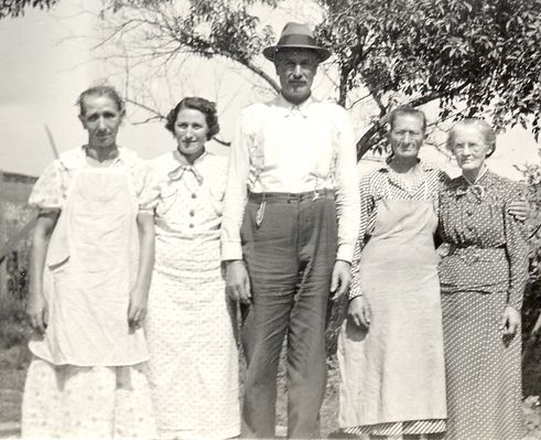 Minnie,Ossie,Wade,Ad,IdaBraySmith0001.jpg
This is a photo of descendants of Mary Elizabeth Weaver Smith and James Latham Smith.  I will give you their names, left to right, and their relationship to Mary and James.
 
Minnie Catherine Smith Peaks, b.9-29-1880, d.2-9-1953, daughter, buried at Weaver Union Church Cemetery, Bristol, Sullivan County, TN
Ossie Belle Smith Thacker, b.8-1-1896, d.6-21-2004, granddaughter, buried at Otes Church Cemetery, Bulls Gap, Hawkins County, TN
Wade Palhoun Smith, b.2-6-1875, d.2-23-1944, son, buried in Bluff City, Sullivan County, TN
Darcus Adalaide Smith Cole, b.12-21-1871, d.2-14-1963, buried at Weaver Union Church Cemetery, Bristol, Sullivan County, TN
Ida Bray Smith, wife of Wade Palhoun Smith (I don't have her birth/death dates at this time)
 
Mary Elizabeth Weaver Smith and James Latham Smith lived in the area known as Vance's Tank (Bristol area), Sullivan County, TN.  Mary Elizabeth was born in Bristol, Sullivan County, TN.  This is where their children were born.  
 
I would guesstimate the photo is in the late 1930s or early 1940s, because Wade died in 1944.
 
Courtesy of Debi Coe
