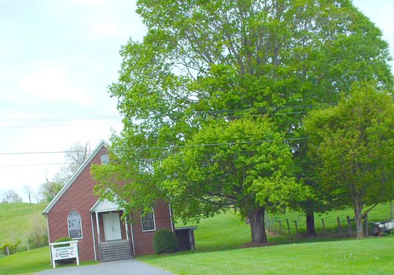 Picture 123.jpg
Photo May 1, 2006 by Jeff Weaver.
