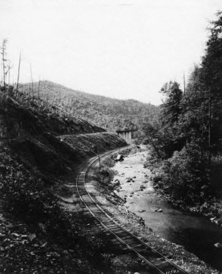 abingdonbranch2.jpg
This view taken probably in the 1920s along Laurel Creek near Damascus, Virginia.
