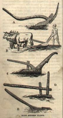 Ancient Plows
