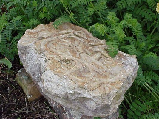 Chilhowie - Unusual Rock
Courtesy of Sadie Stamper Greer [email]jgreer100@comcast.net[/email]
