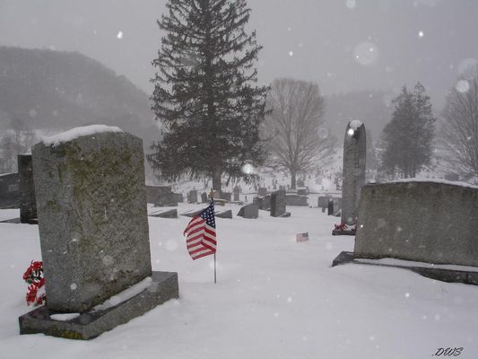 elizcemsnow.jpg
This photo by Don Smith [email]dsmith1043@comcast.net[/email] was taken February 12, 2006 at 12:10 p.m.  Haunting and beautiful all at the same time.
